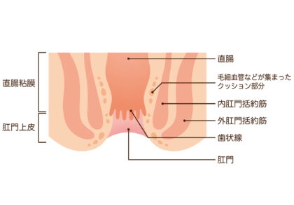 肛門外科について